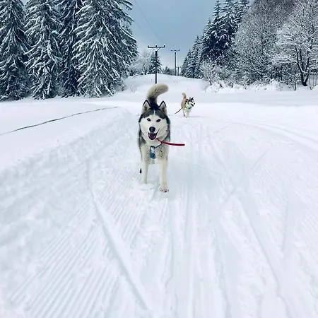 Horský Mia * Bedřichov