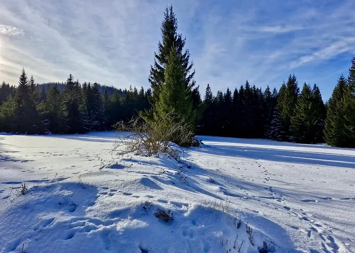 Apartmán Horský Mia Bedřichov